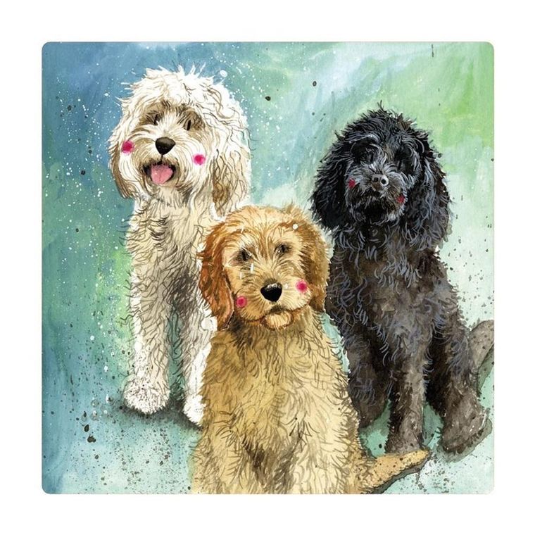 Alex Clark, magnes, Psy Cockapoo