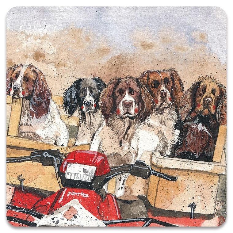 Alex Clark, magnes, Psy Spaniele