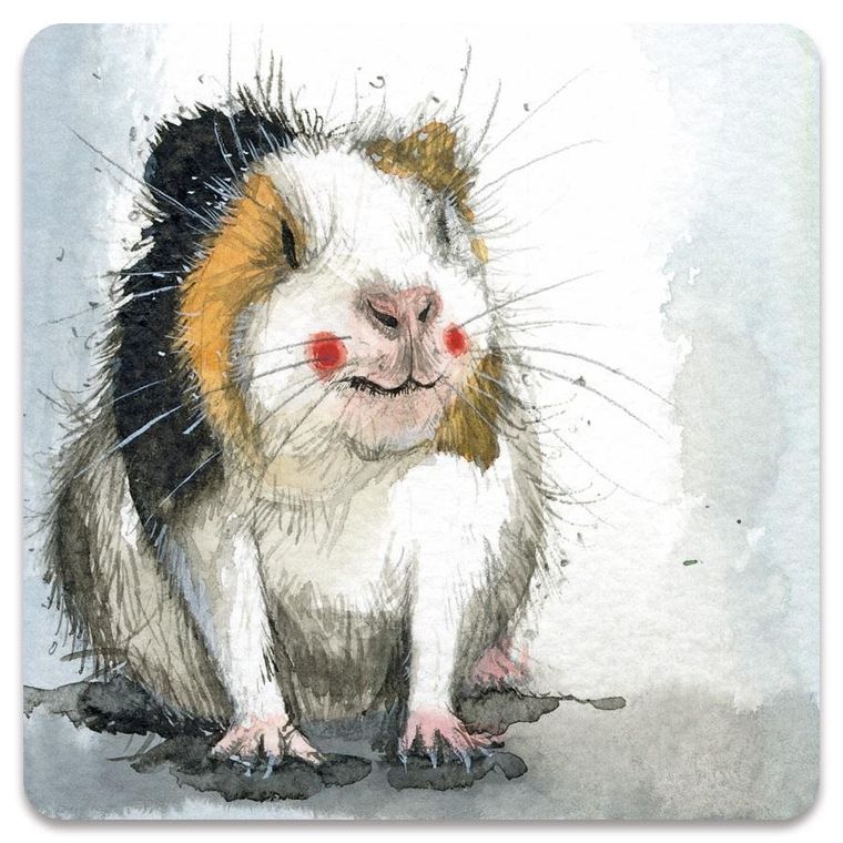 Alex Clark, magnes, Świnka morska