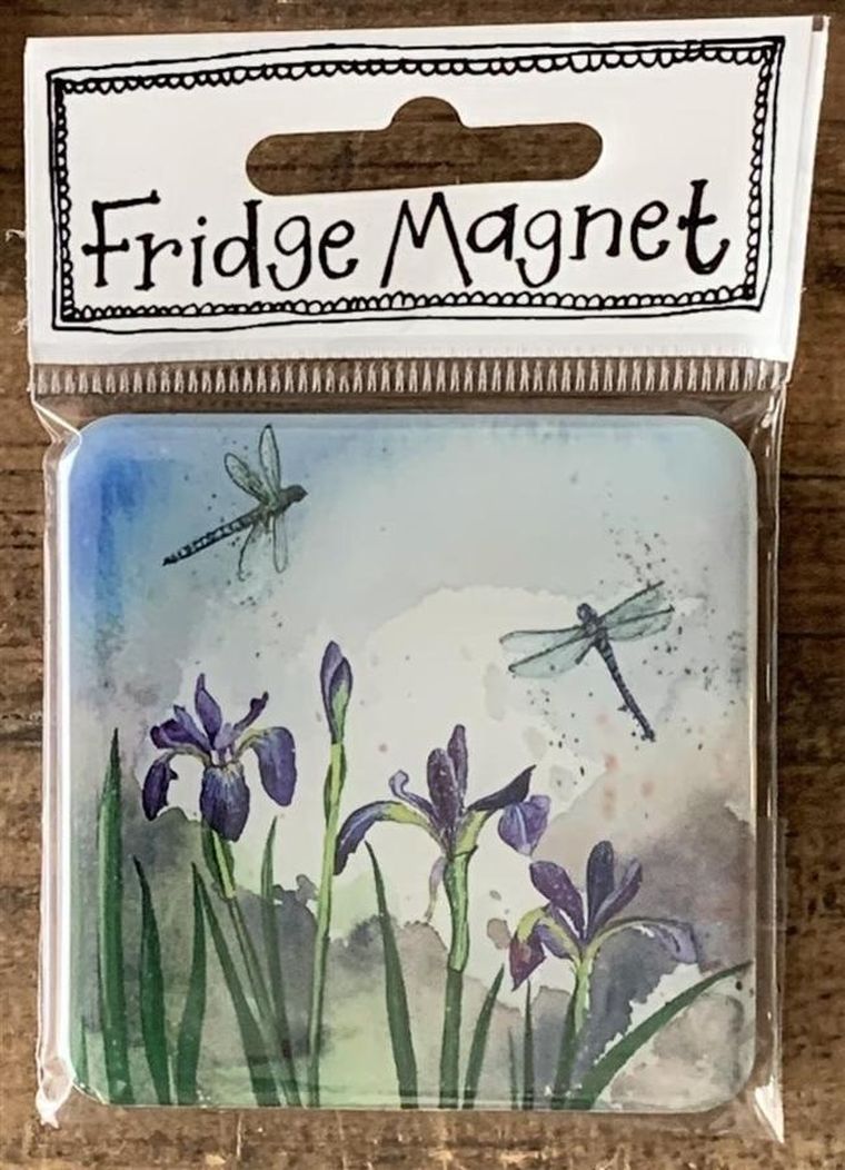 Alex Clark, magnes, Ważki