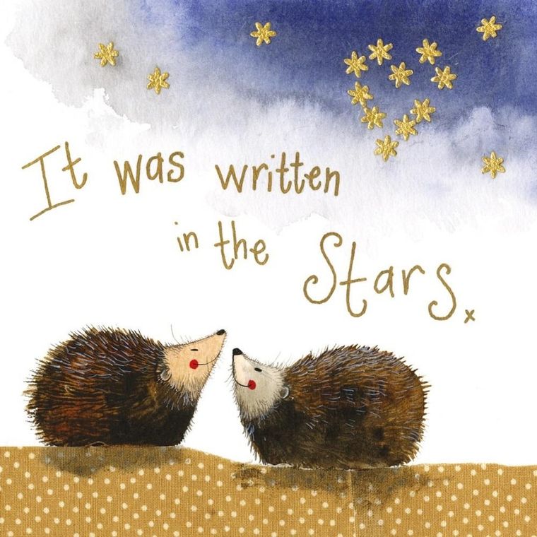 Alex Clark, podkładka pod kubek, jeżyki nocą