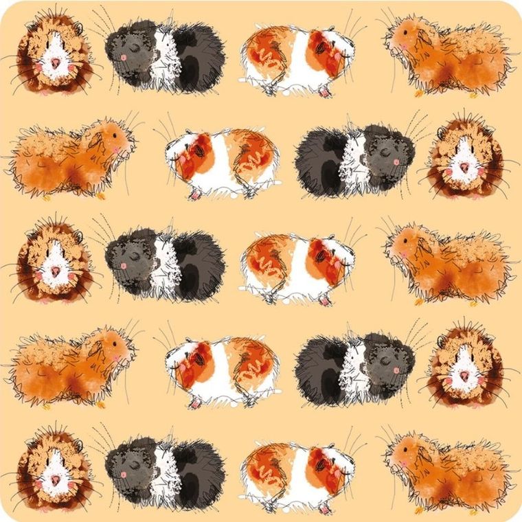 Alex Clark, podkładka pod kubek, świnki morskie