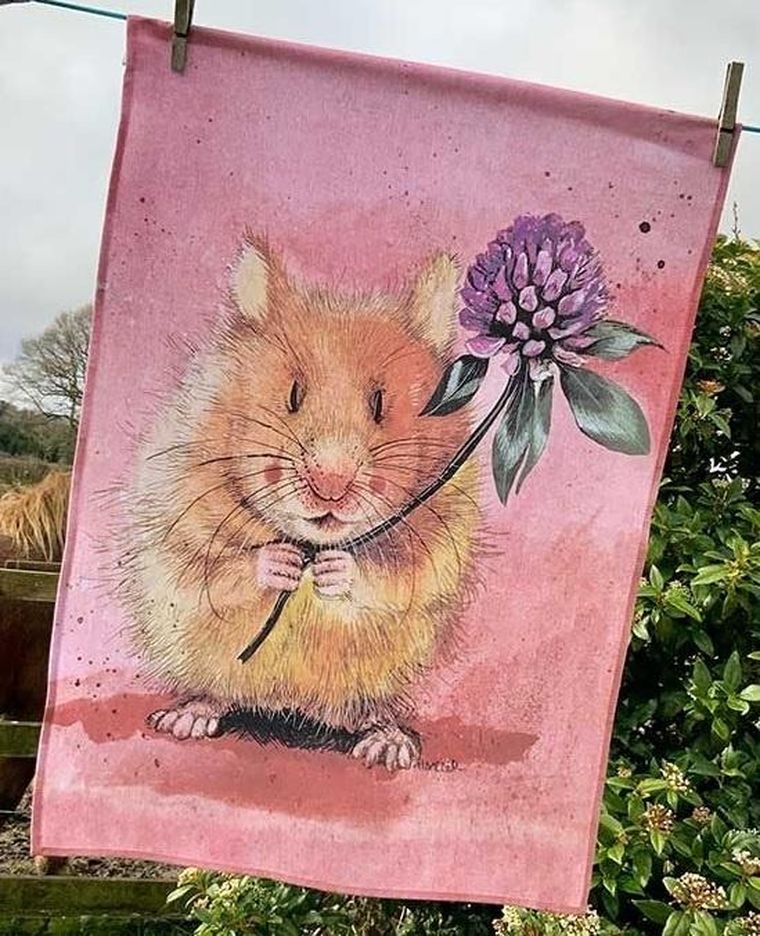 Alex Clark, ręcznik kuchenny, chomik Herbert