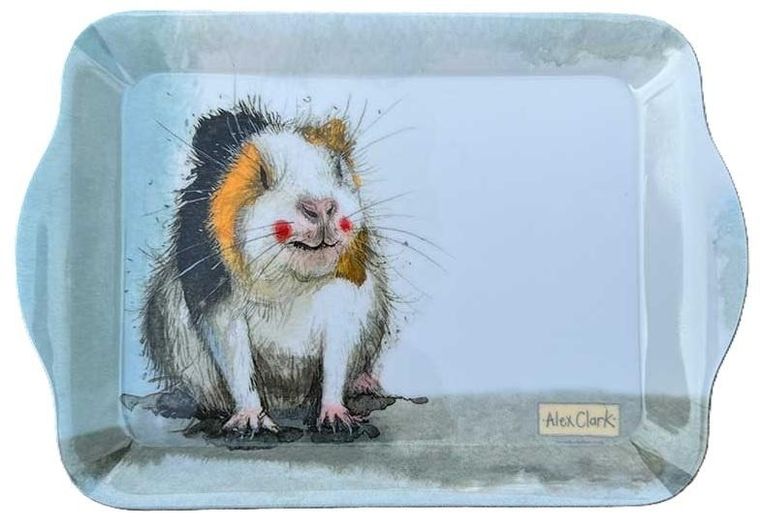Alex Clark, taca kuchenna, mała, świnka morska