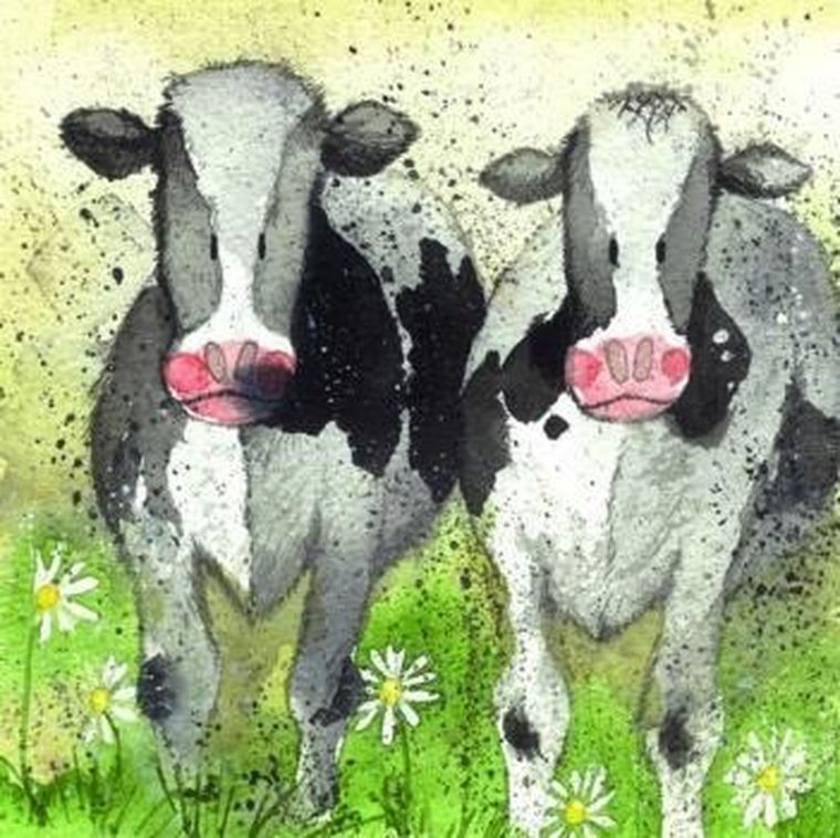 Alex, podkładka pod kubek, Ciekawskie krowy