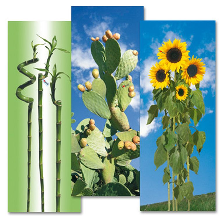 Altom Design, Gimi, pokrowiec bawełniany i love s/m 129-48 cm, na deskę do prasowania 122-38 cm