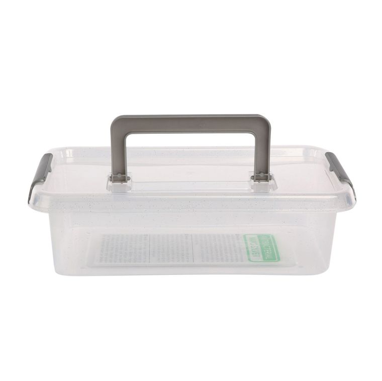 Altom Design, Orplast, Nanobox, pojemnik do przechowywania z rączką, 29-20-8 cm, 3,1l