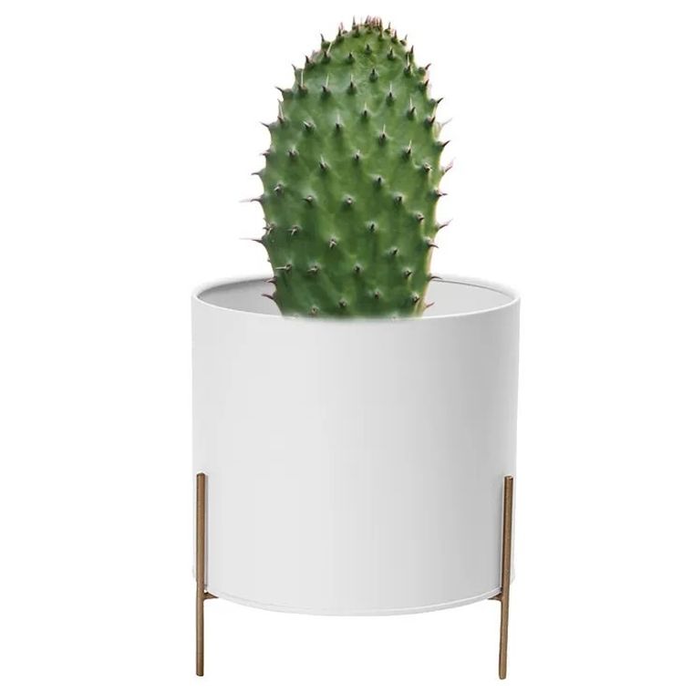 Altom Design, osłonka na doniczkę na złotej podstawce, metalowa, biała, 17-10 cm