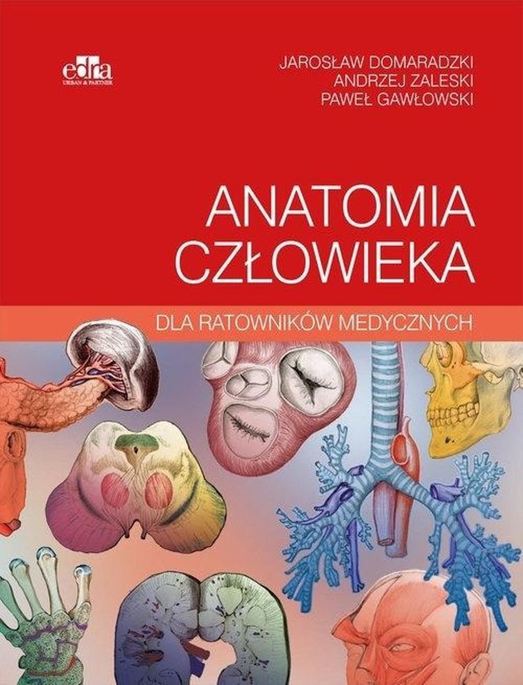Anatomia człowieka dla ratowników medycznych