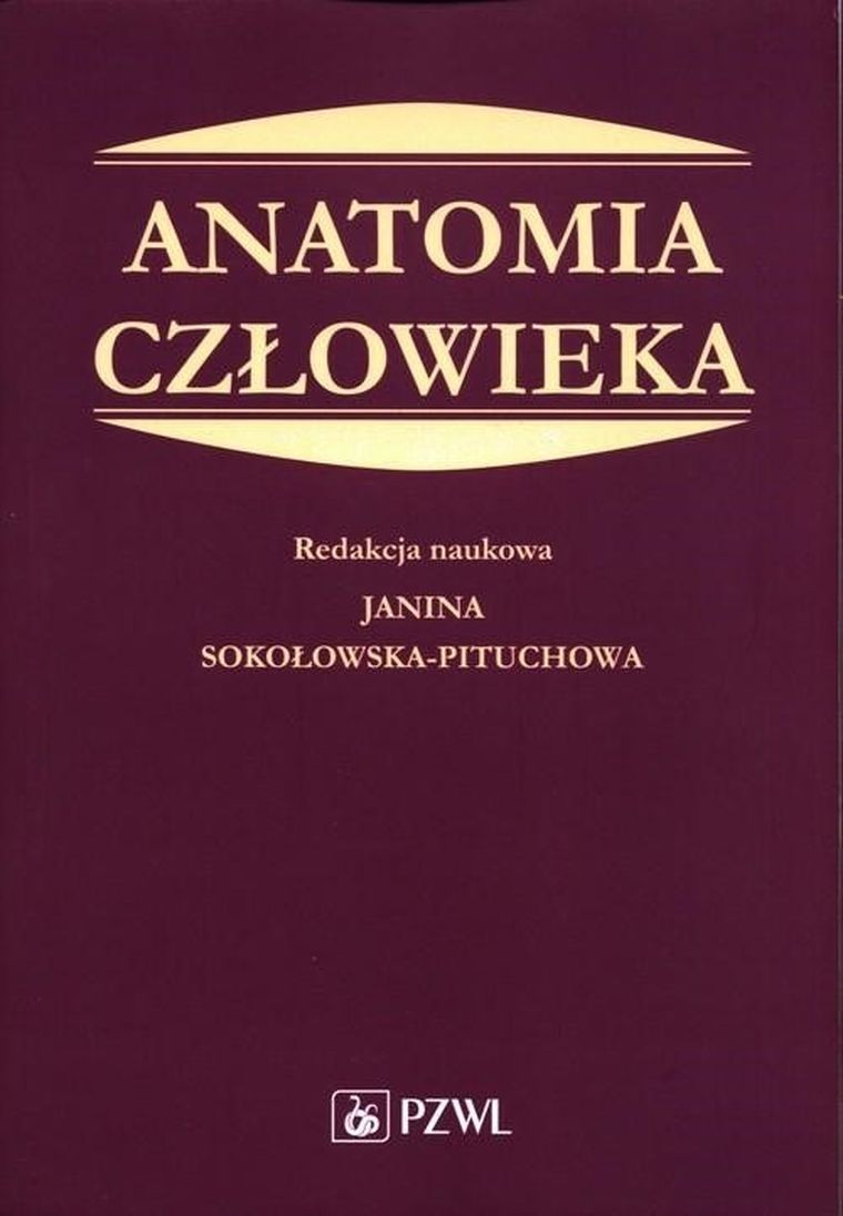 Anatomia człowieka. Podręcznik dla studentów medycyny