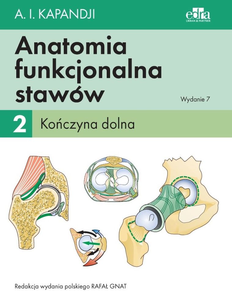 Anatomia funkcjonalna stawów. Tom 2. Kończyna dolna