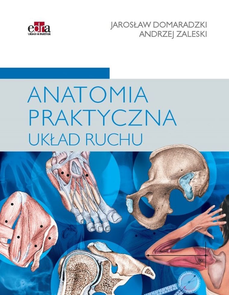Anatomia praktyczna. Układ ruchu