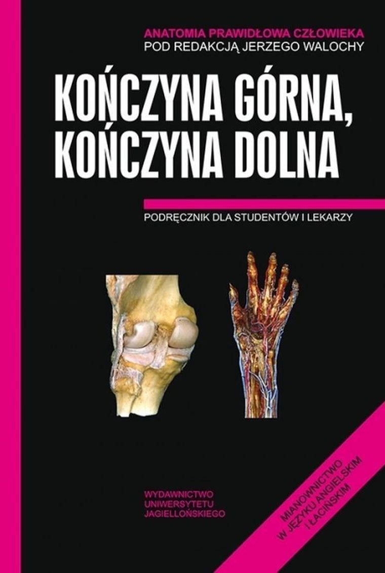 Anatomia prawidłowa człowieka. Kończyna górna. Kończyna dolna