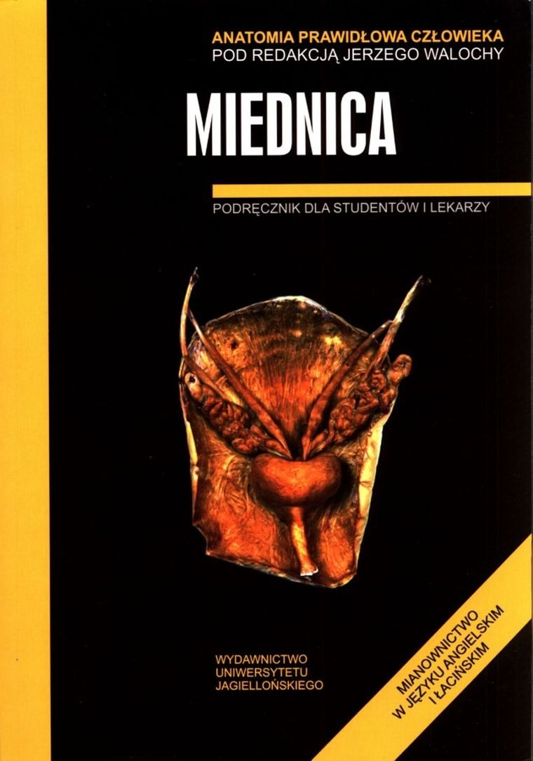 Anatomia prawidłowa człowieka. Miednica