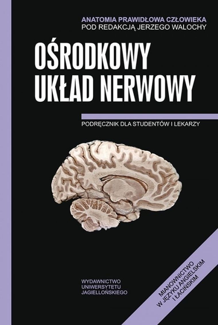 Anatomia prawidłowa człowieka. Ośrodkowy układ nerwowy