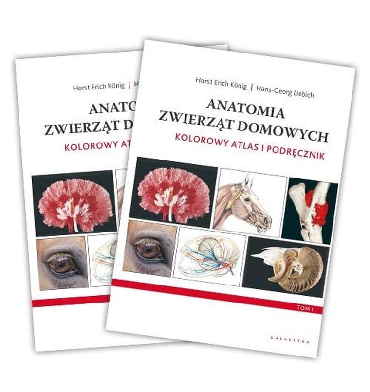 Anatomia zwierząt domowych. Kolorowy atlas