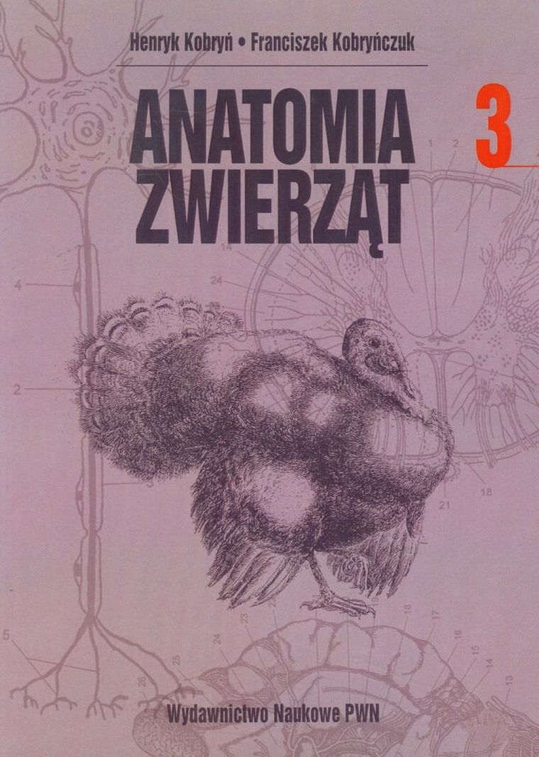 Anatomia zwierząt. Tom 3