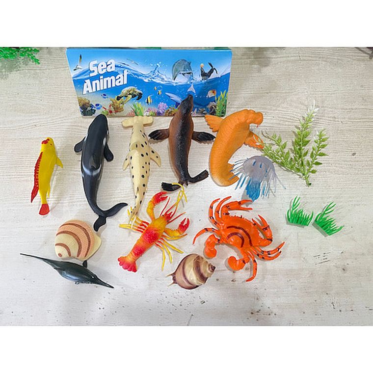 Anek dla Dzieci, zwierzęta morskie