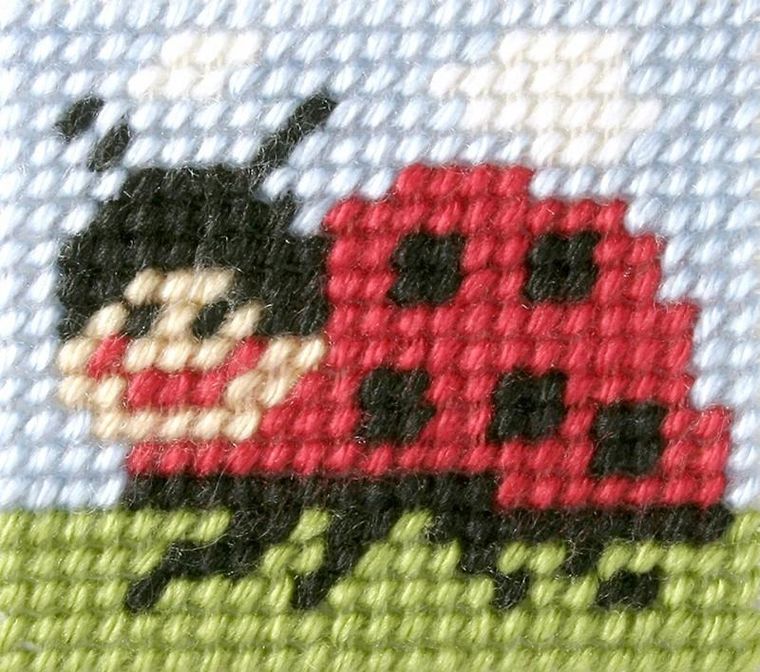 Anex-bis, Moje pierwsze wyszywanie, zestaw do haftu, Biedronka