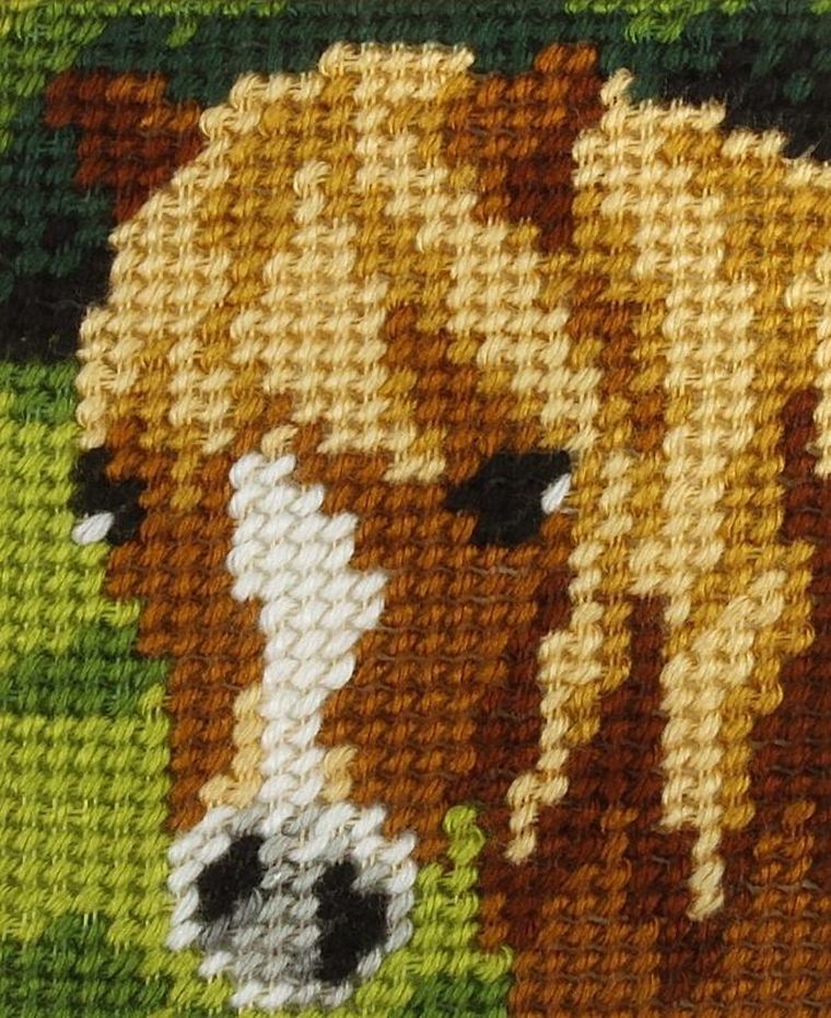 Anex-bis, Moje pierwsze wyszywanie, zestaw do haftu, Konik