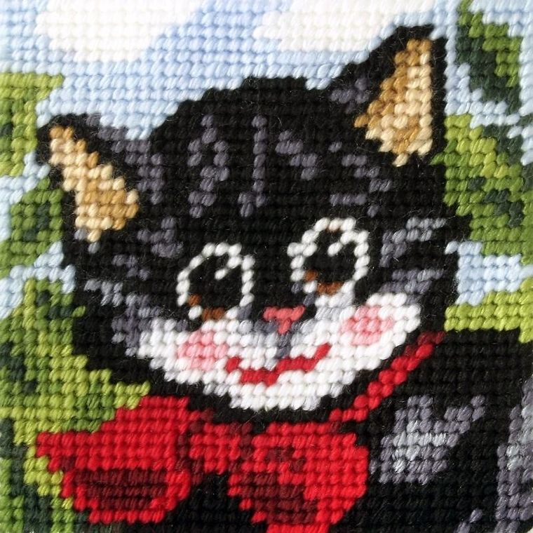 Anex-bis, Moje pierwsze wyszywanie, zestaw do haftu, Kotek