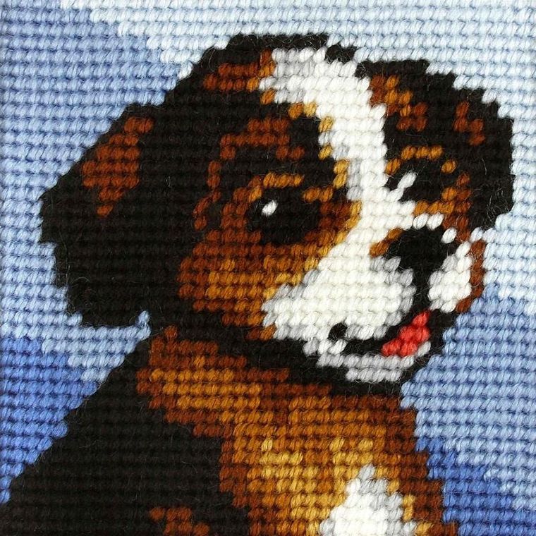 Anex-bis, Moje pierwsze wyszywanie, zestaw do haftu, Piesek