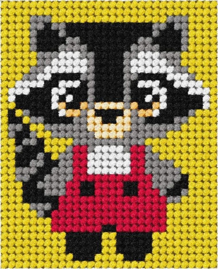 Anex-bis, Moje pierwsze wyszywanie, zestaw do haftu, Szop pracz