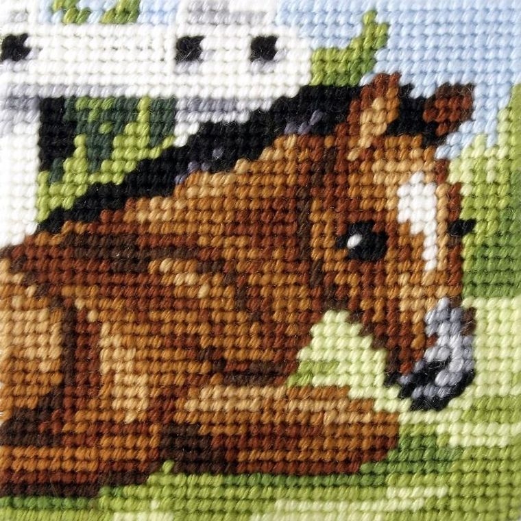 Anex-bis, Moje pierwsze wyszywanie, zestaw do haftu, Źrebaczek