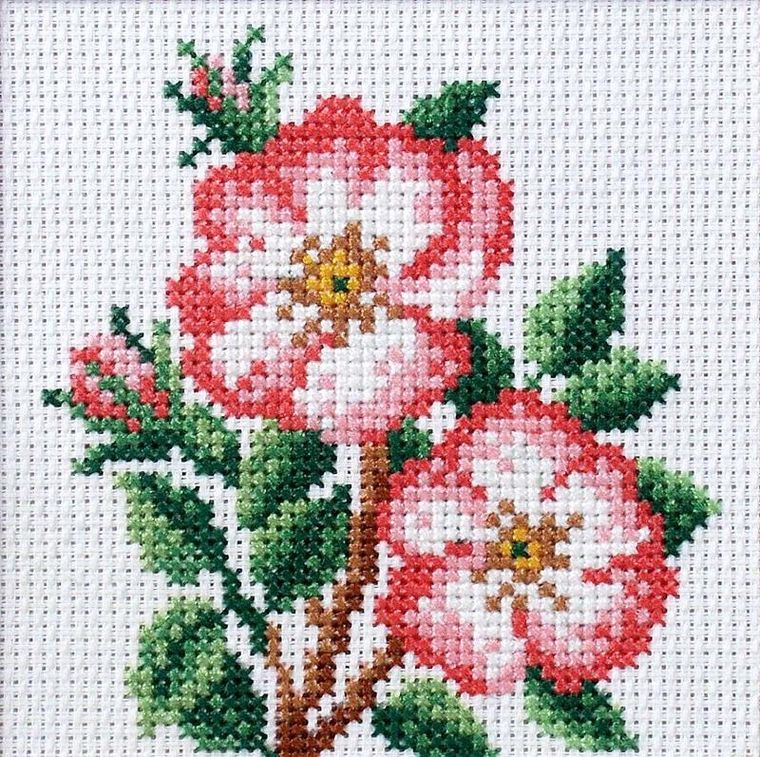 Anex-bis, zestaw do haftu krzyżykowego, Dzika Róża