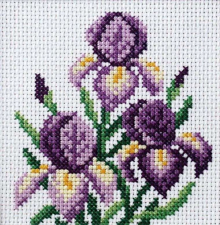 Anex-bis, zestaw do haftu krzyżykowego, Irysy