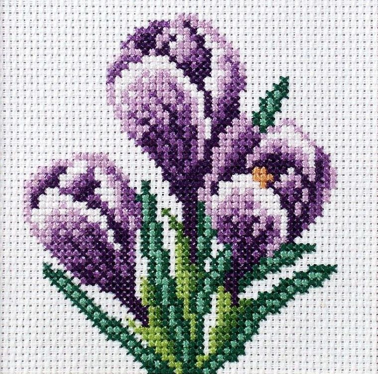 Anex-bis, zestaw do haftu krzyżykowego, Krokusy