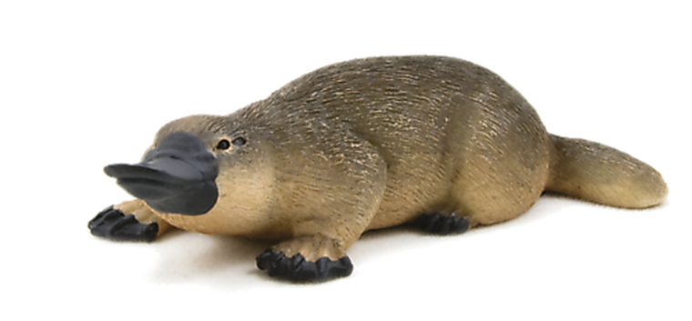 Animal Planet, Dziobak, figurka