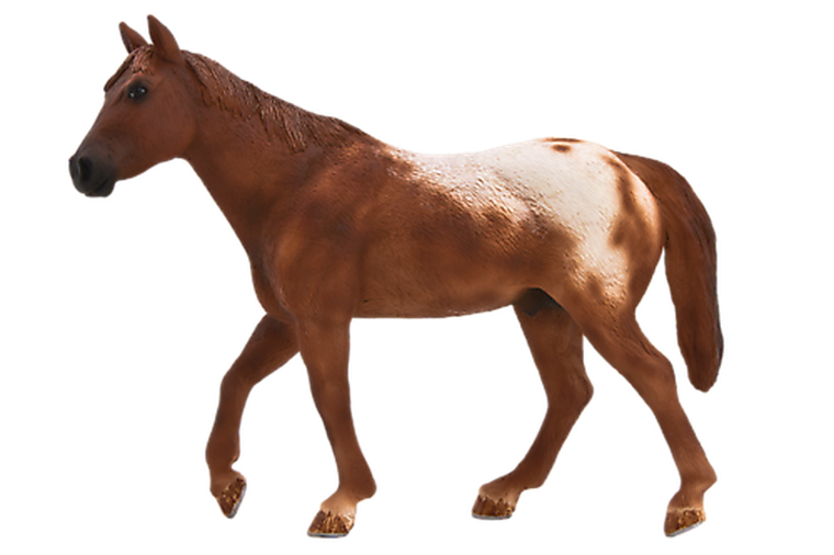 Animal Planet, Kasztanowy ogier appaloosa, figurka