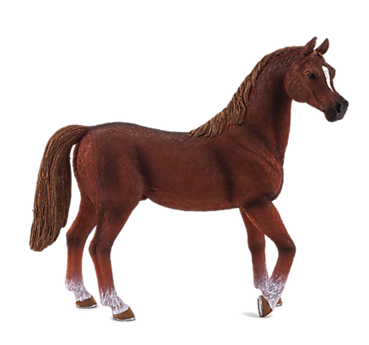 Animal Planet, Kasztanowy ogier rasy arabskiej, figurka