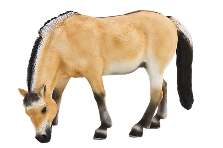 Animal Planet, Klacz fiordzka, figurka