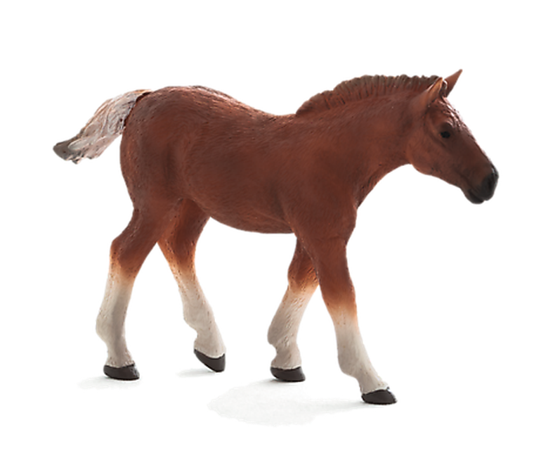 Animal Planet, Źrebię rasy suffolk punch, figurka