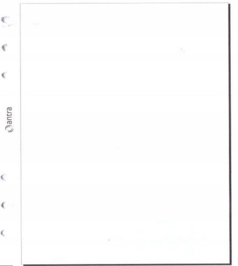 Antra, wkład do organizera, kieszonka, czysta biała