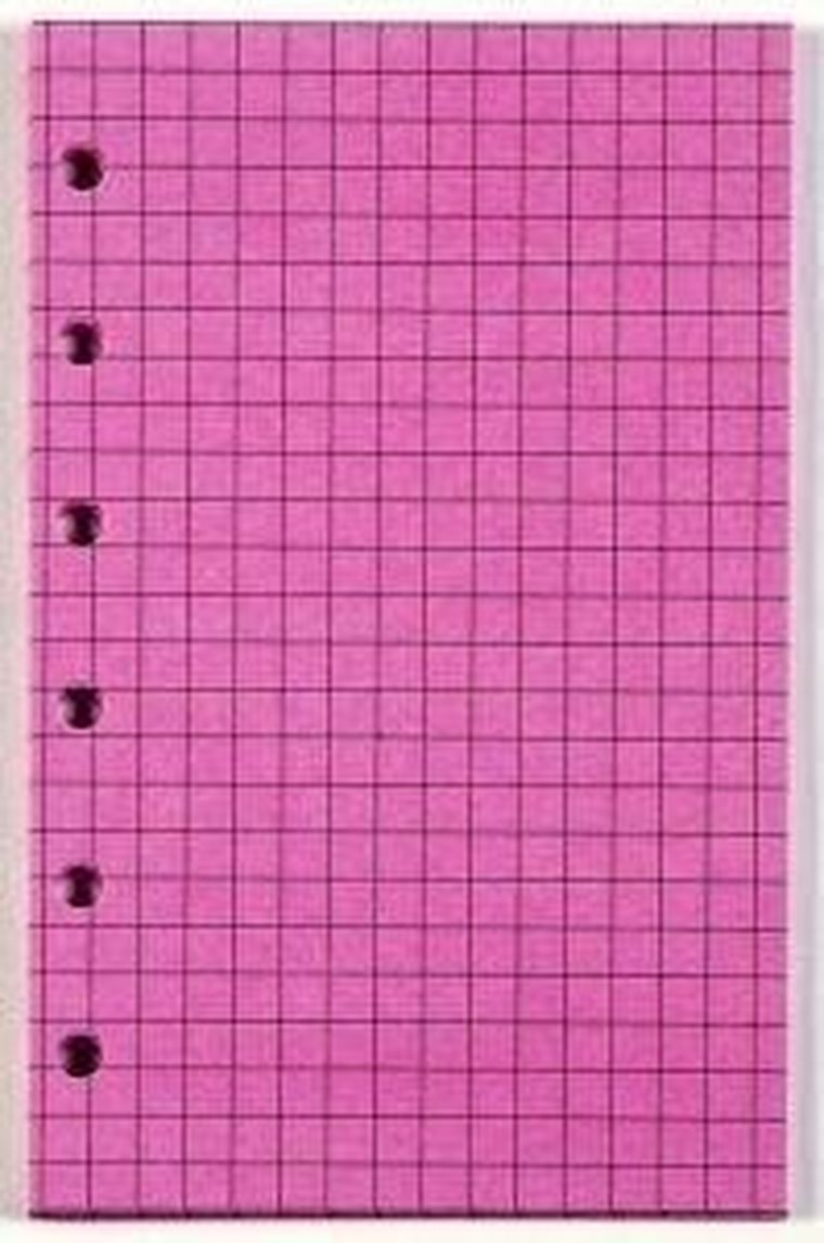 Antra, wkład do organizera, kieszonka, Kratka czerwona