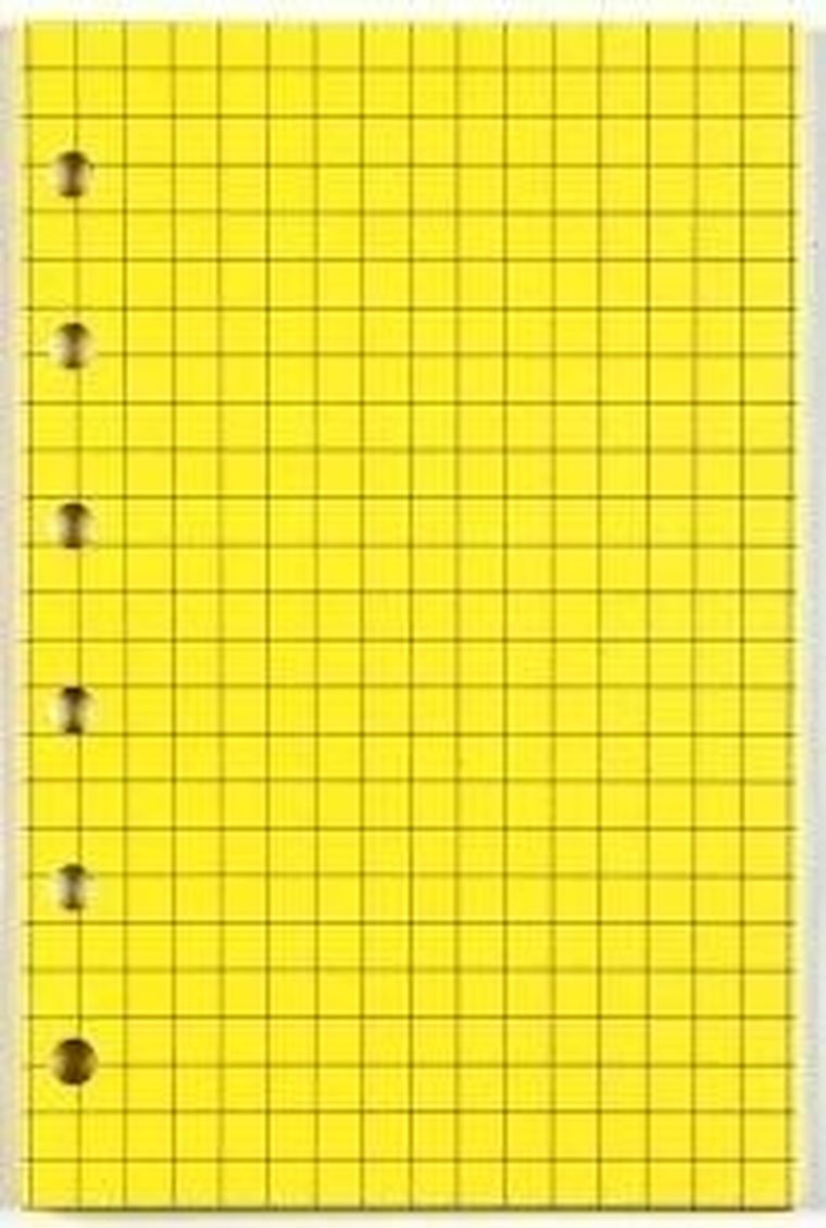 Antra, wkład do organizera, kieszonka, Kratka żółta