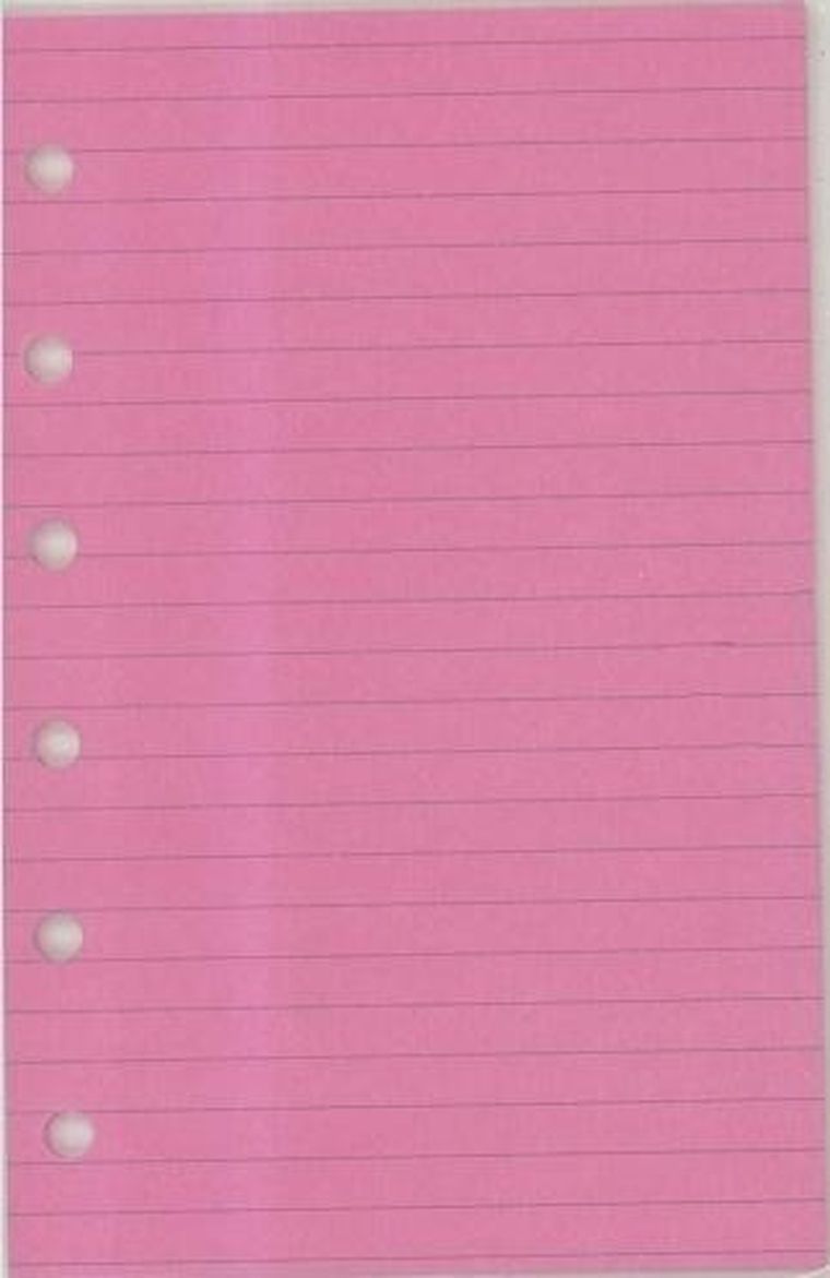 Antra, wkład do organizera, kieszonka, Linia czerwona