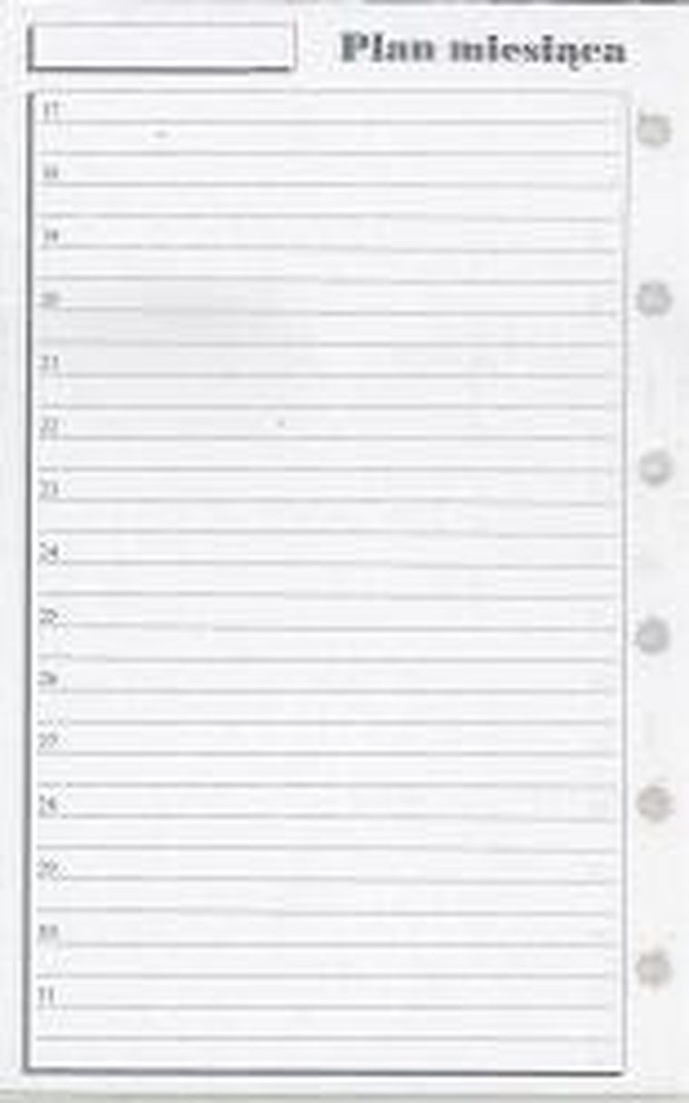 Antra, wkład do organizera, kieszonka, Plan miesiąca