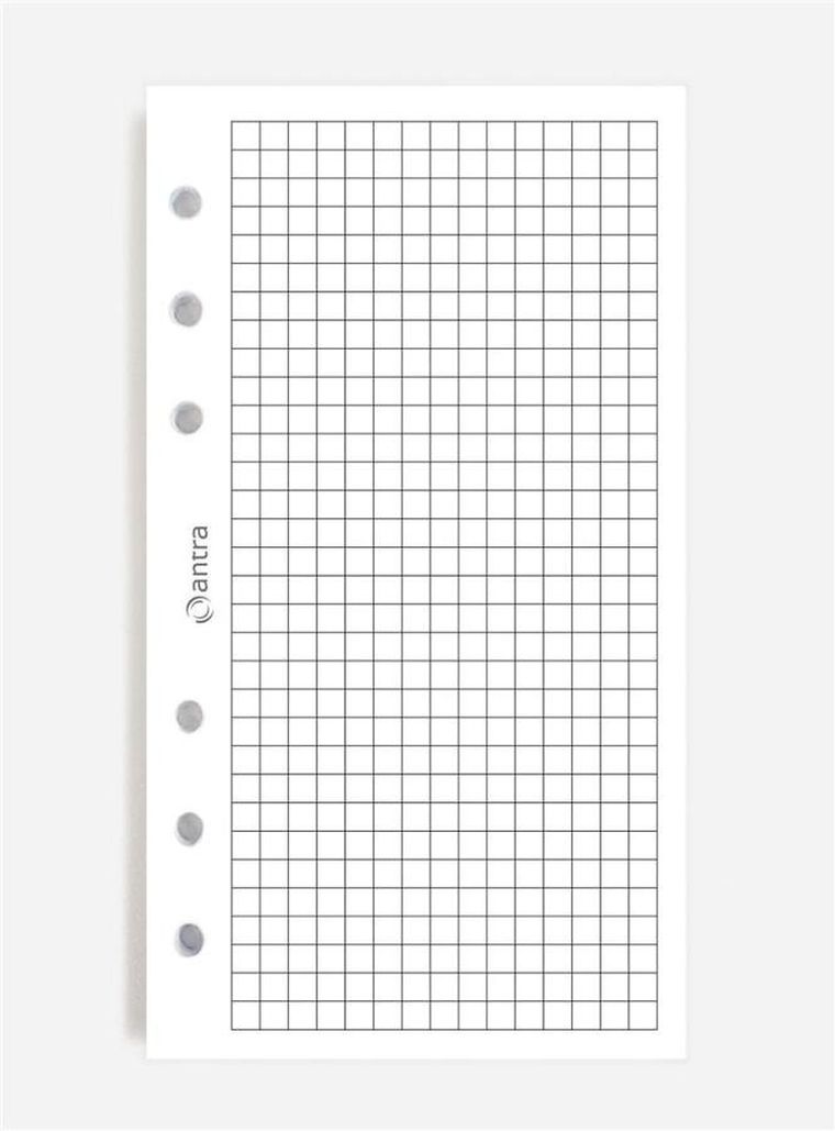 Antra, wkład do organizera, strona, kratka biała
