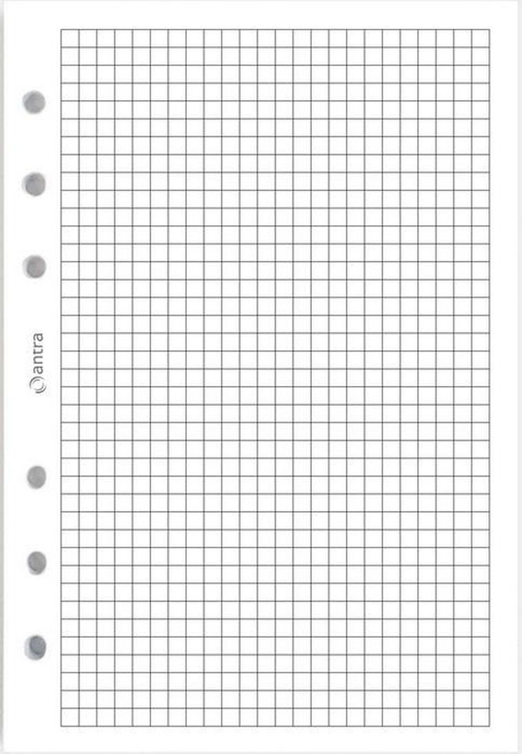 Antra, wkład do segregatora, kratka, biały