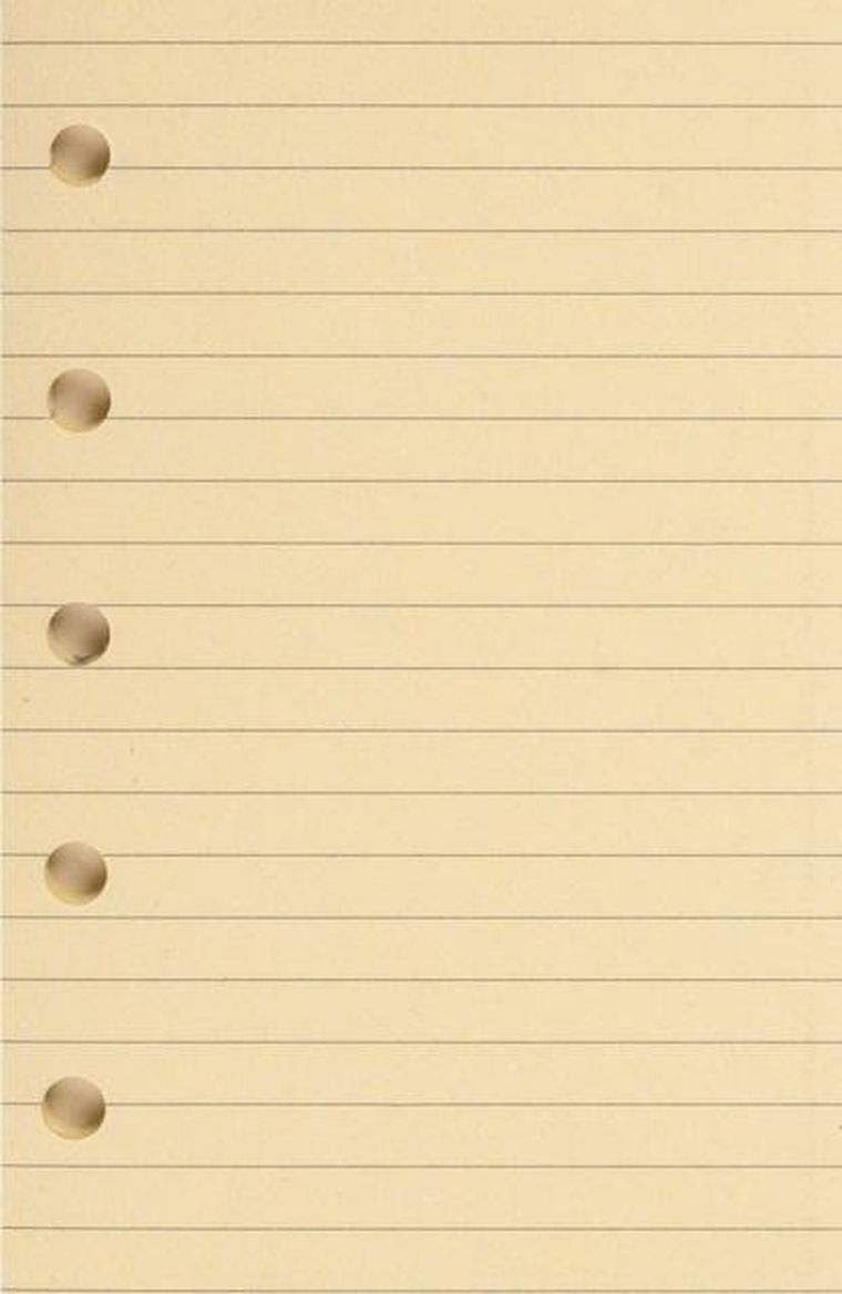 Antra, wkład do segregatora, linia, żółty