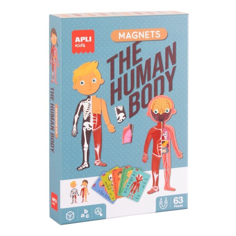 Apli Kids, magnetyczna układanka, ciało człowieka