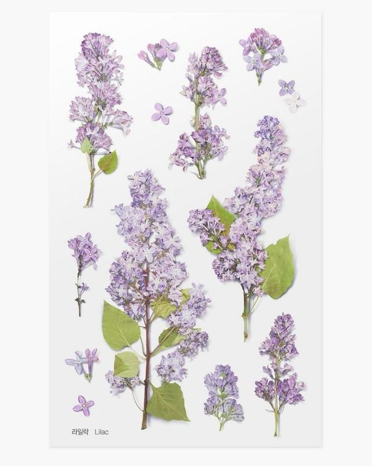 Appree, naklejki ozdobne, kwiaty, bez