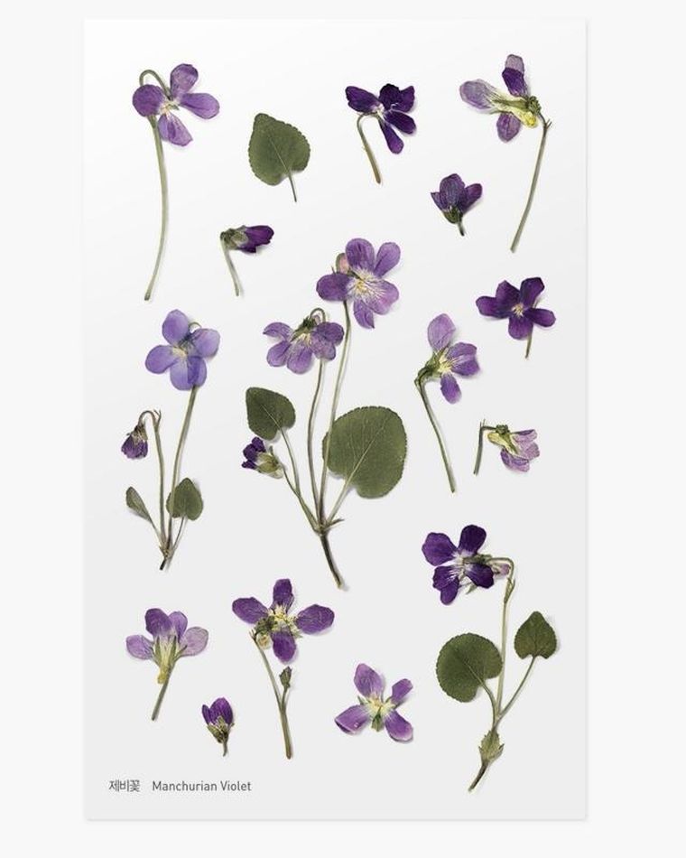 Appree, naklejki ozdobne, kwiaty, fiołek