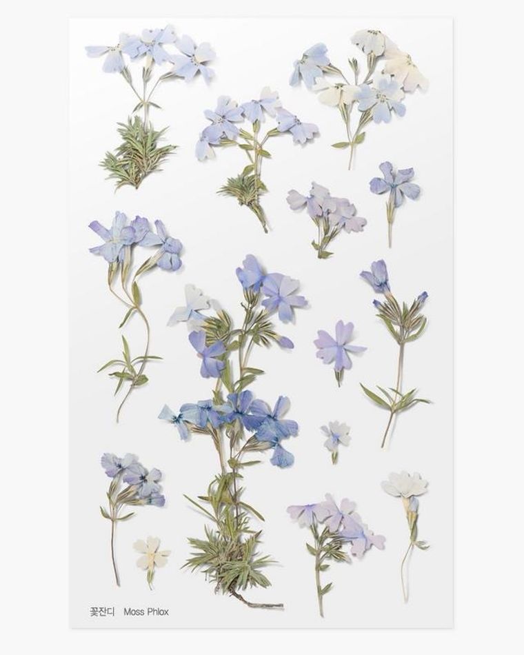 Appree, naklejki ozdobne, kwiaty, floks