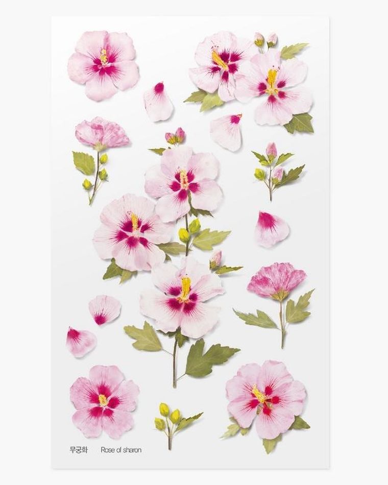 Appree, naklejki ozdobne, kwiaty, róża Sharon