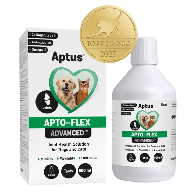Aptus, Advanced, kolagen na stawy dla psa i kota, 500 ml
